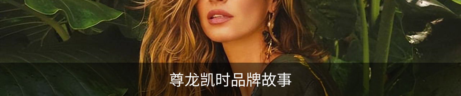 尊龙凯时品牌故事