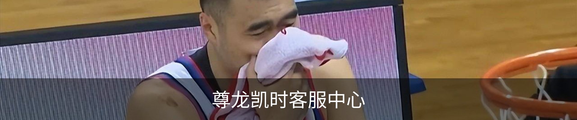 尊龙凯时客服中心